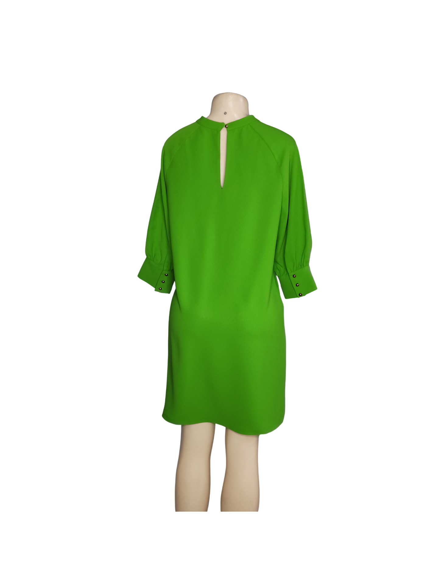 Shiks Women Green Dress shirt