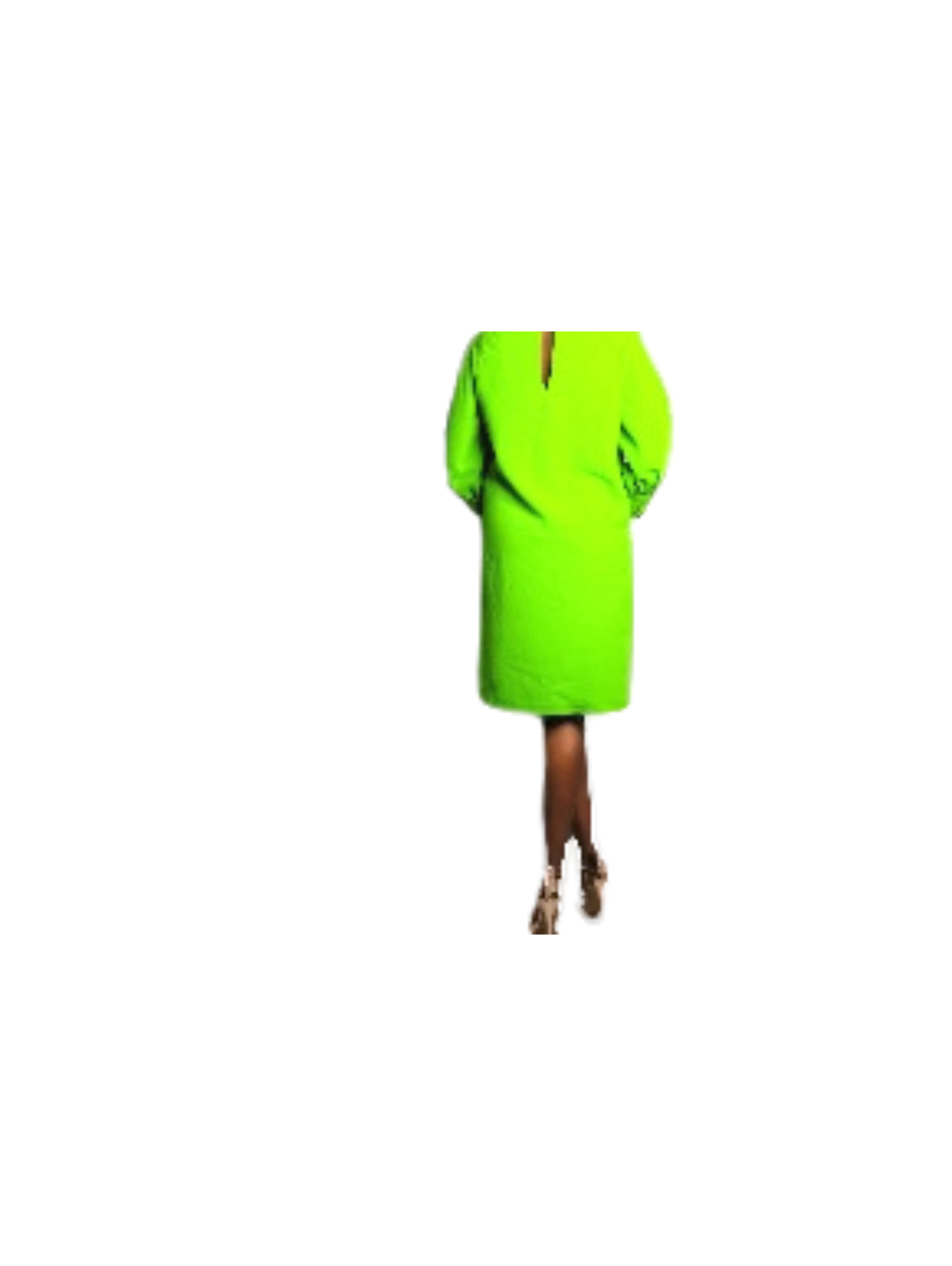 Shiks Women Green Dress shirt